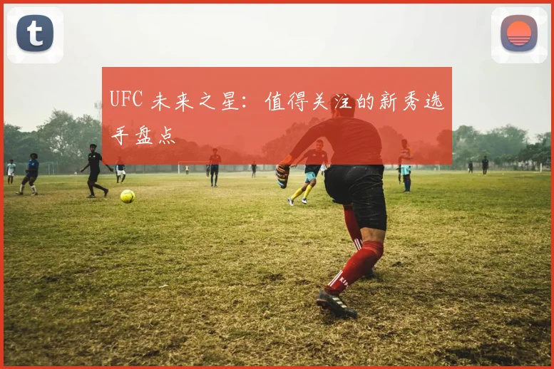 UFC 未来之星：值得关注的新秀选手盘点